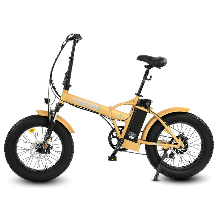 ECOTRIC BIKES 48V Fat Tire Portable and Folding Electric Bike with LCD Display