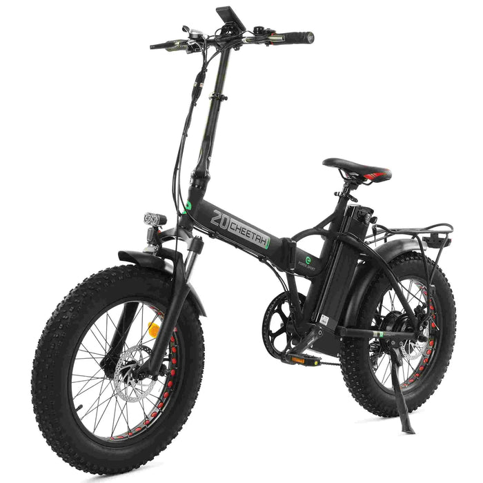 ECOTRIC BIKES 48V Fat Tire Portable and Folding Electric Bike with COLOR LCD Display