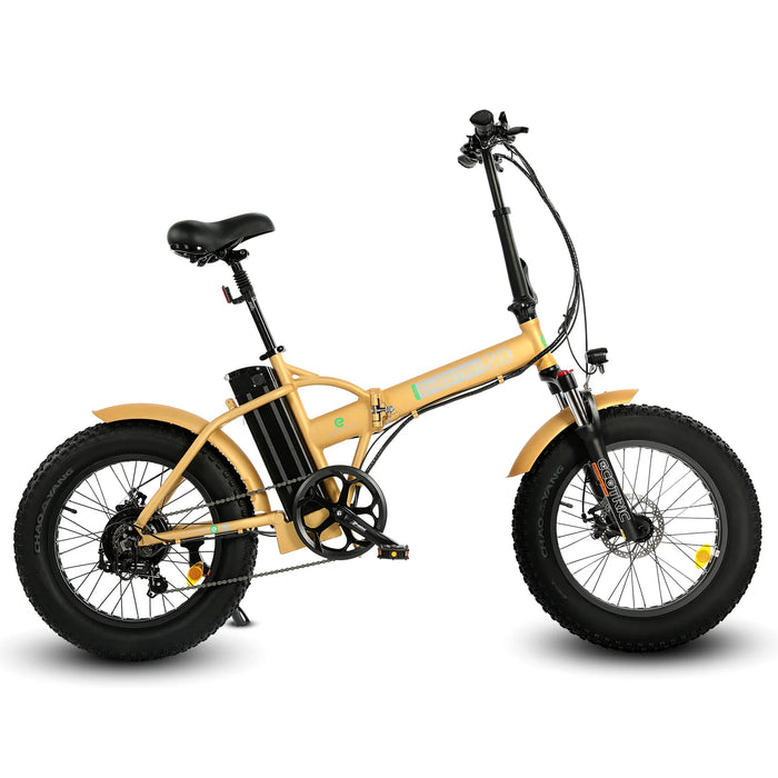 ECOTRIC BIKES 48V Fat Tire Portable and Folding Electric Bike with LCD Display