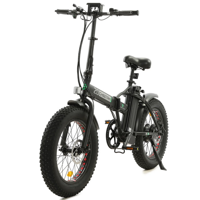 ECOTRIC BIKES 48V Fat Tire Portable and Folding Electric Bike with LCD Display