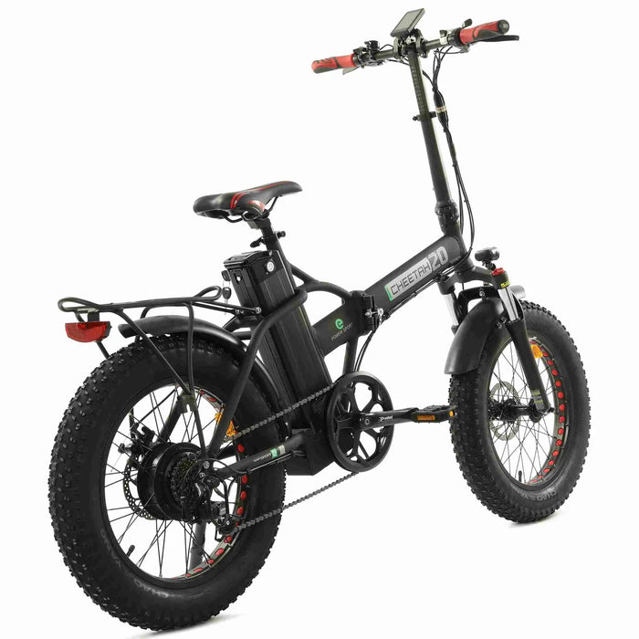 ECOTRIC BIKES 48V Fat Tire Portable and Folding Electric Bike with COLOR LCD Display