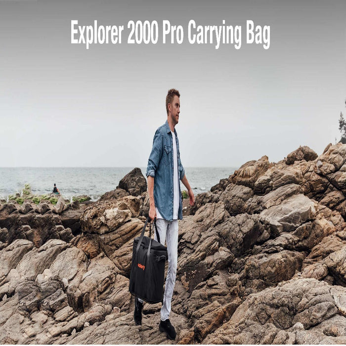 Jackery Upgraded Carrying Case Bag for Explorer 2000 Pro/1500 Pro/1000 Plus (L)