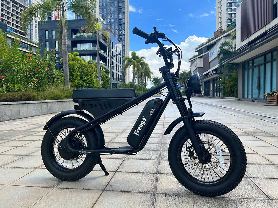 Freego M1 Mini Fat Tire Electric City Bike