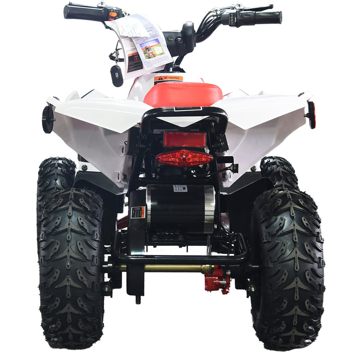 MotoTec E-Bully 36v 1000w ATV