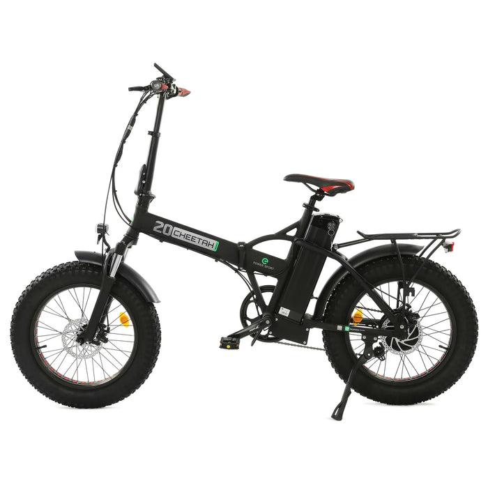 ECOTRIC BIKES 48V Fat Tire Portable and Folding Electric Bike with COLOR LCD Display