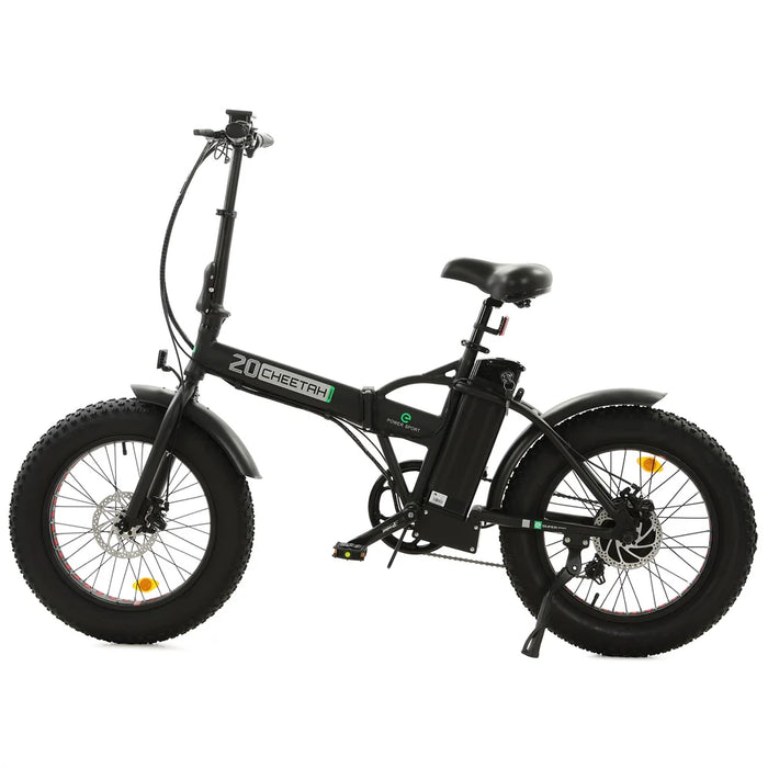 ECOTRIC BIKES 48V Fat Tire Portable and Folding Electric Bike with LCD Display