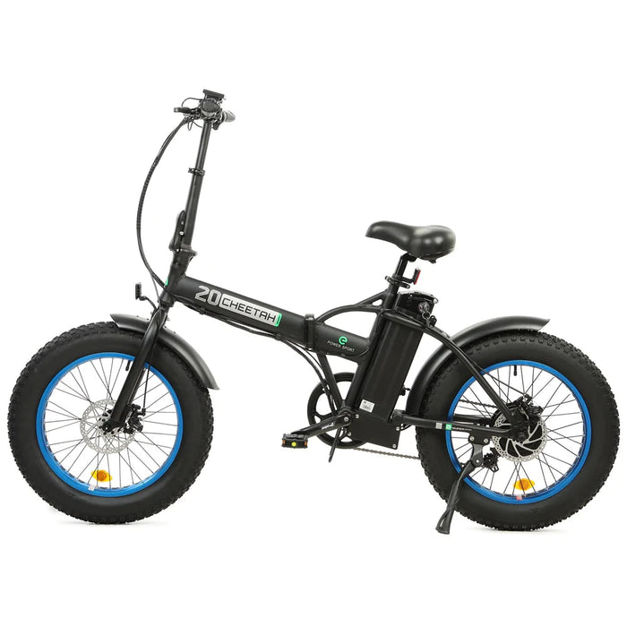 ECOTRIC BIKES 48V Fat Tire Portable and Folding Electric Bike with LCD Display